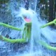Kermit the Frog, Ice Bucket Challenge